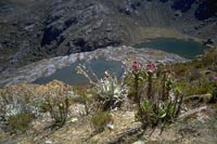 Cordillera de Merida, Venezuela (1997)
