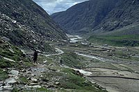 Koksar valley, Himachalpradesh (1996)