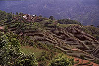 Phalesangu, Manaslu Himal (2001)