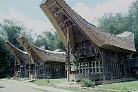Tana Toraja, Central Sulawesi (2002)