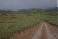 Road to Paraitepui, Venezuela (1997)