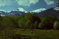 Pirin Mountains, Bulgaria (1981)