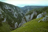 Zdiel Canyon, Slovakia (1980)