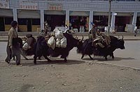 Near Lhasa (2000)
