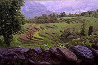 Phalesangu, Manaslu Himal (2001)