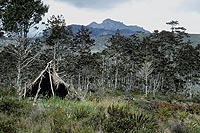Trikora Peak, 4970m, West Papua (2002)  