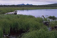 Schmidt Peninsula, Northern Sakhalin (1990)