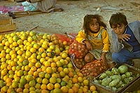 Al Aziziyah, Libya (1982)